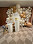 Home 11 Photo from customer review