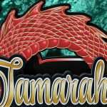 The Dragon - Image 6