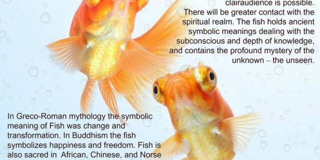 51a34e444f471807ec0fe2087b25ef77