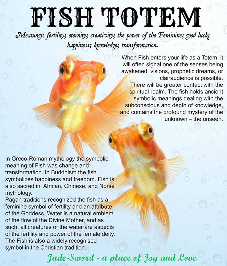 Flowing with the Fish Totem: A Path to Balance and Peace 2 51a34e444f471807ec0fe2087b25ef77